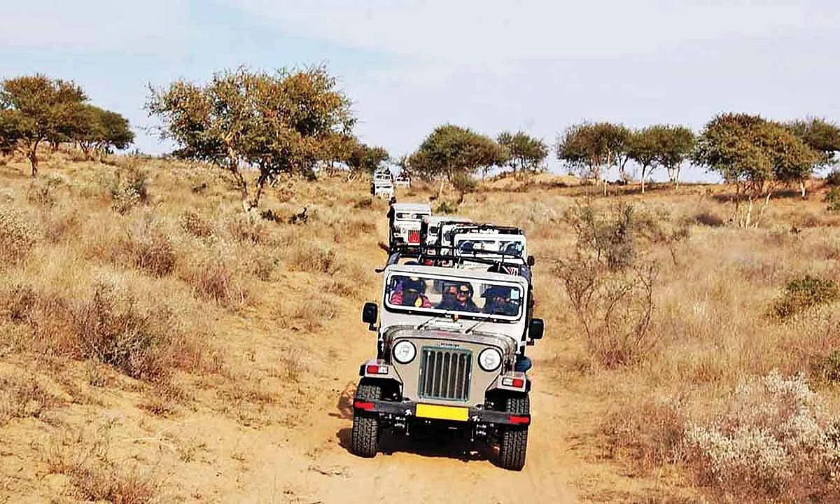 Open safari jeep convoy traversing rural desert terrain on Bishnoi Village Safari near Jodhpur